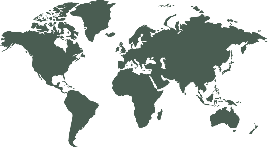 Minimal flat world map illustration in warm brown on cream background for Finding Theodore bear tracking map